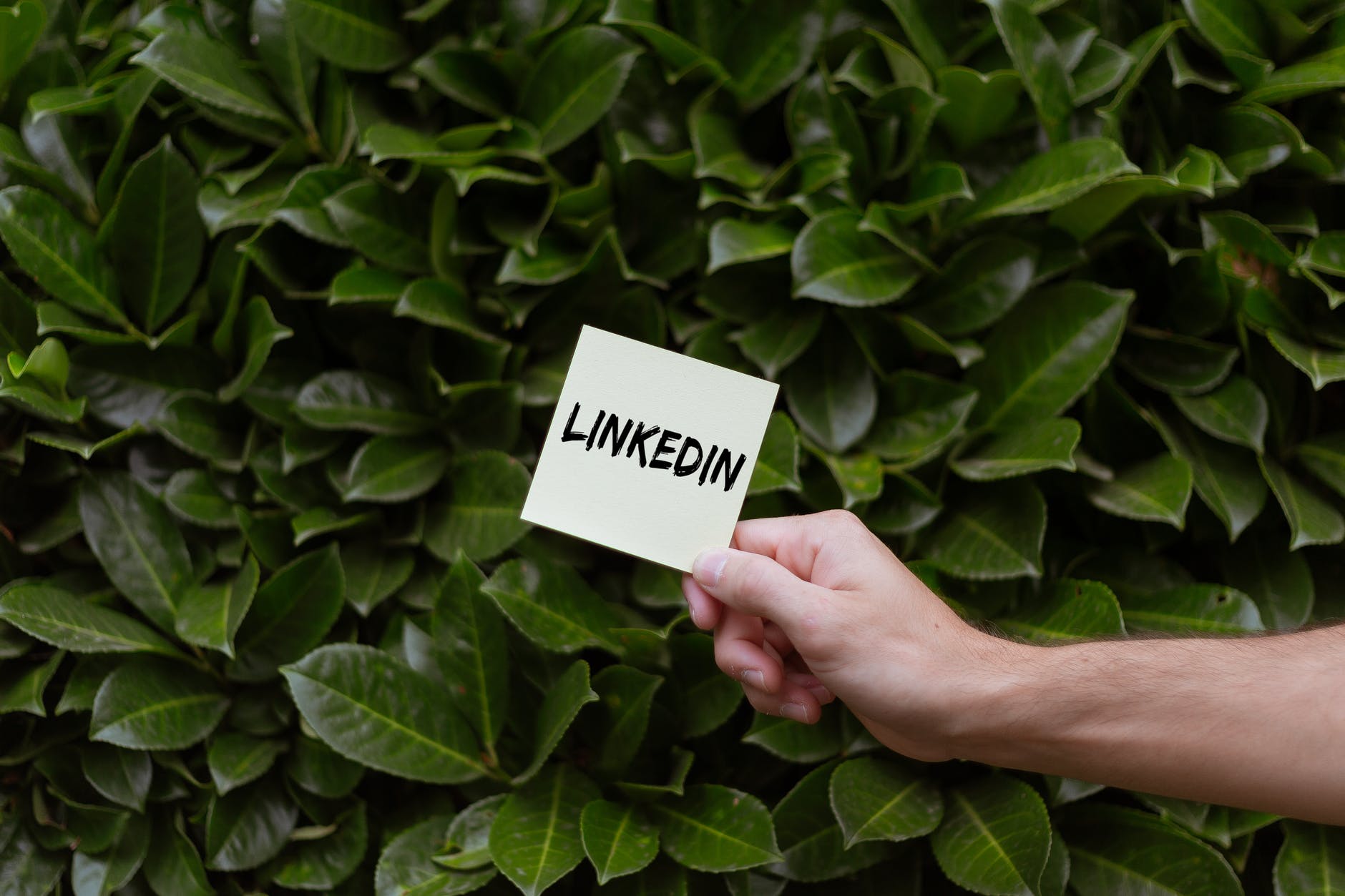 person holding a card with linkedin text